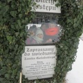 IMG 0742